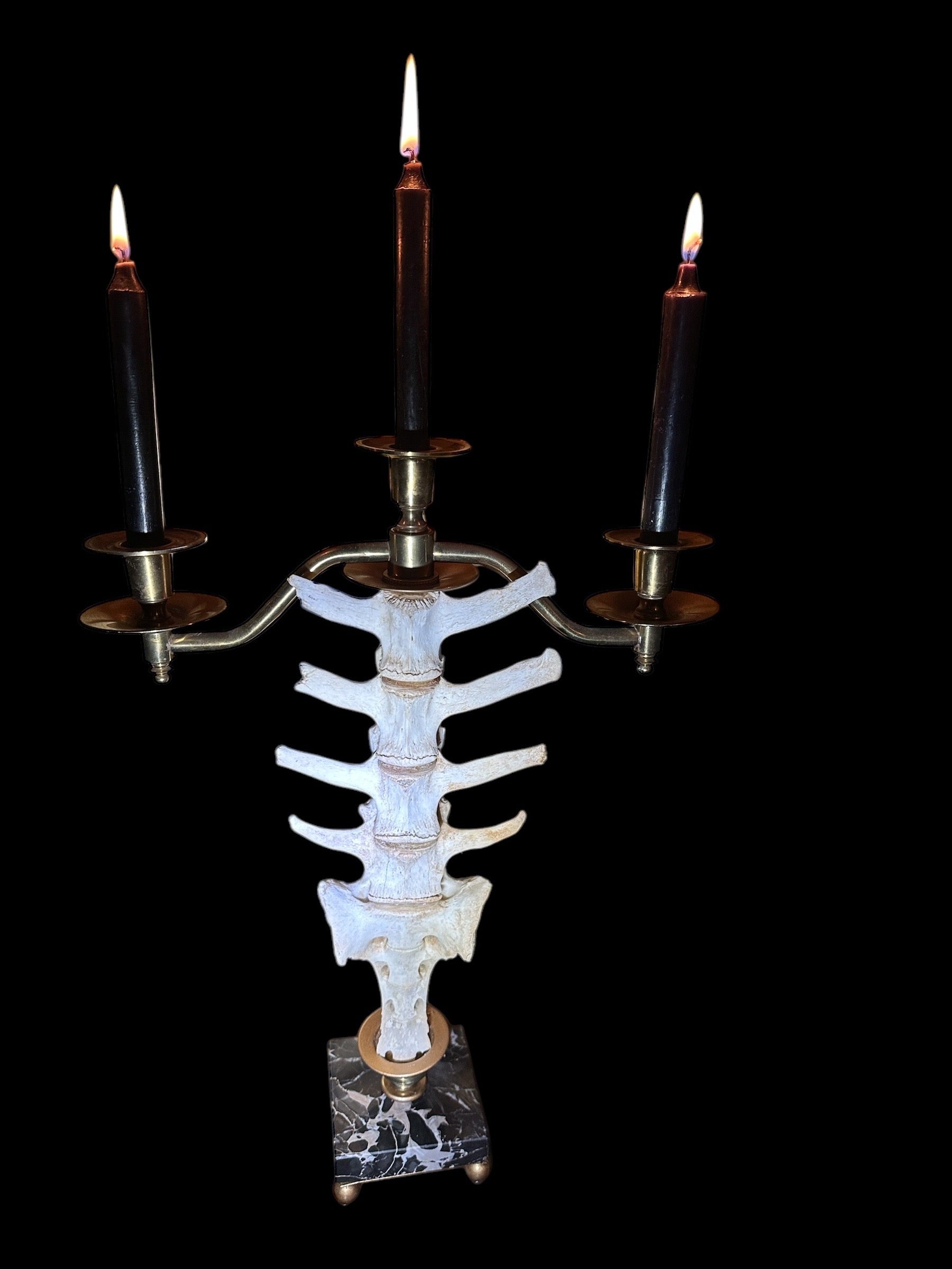 Deer Vertebrae Candelabra